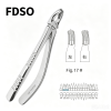 马杰斯特 成人英式拔牙钳 3